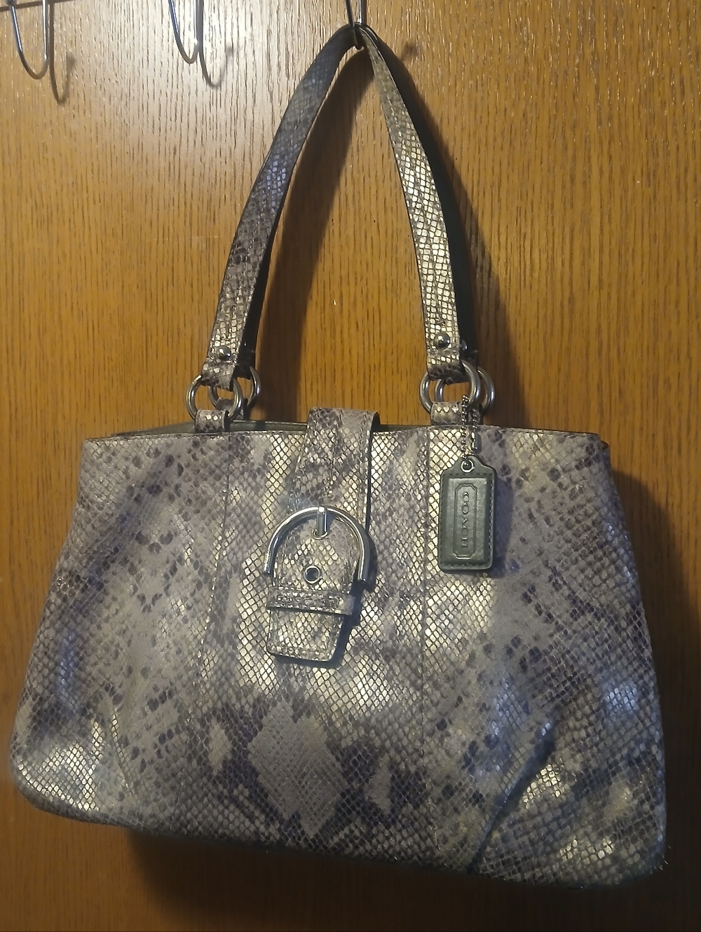 Coach Python Embossed Leather Tote Bag Gray Silver Shoulder Bag Buckle Accent